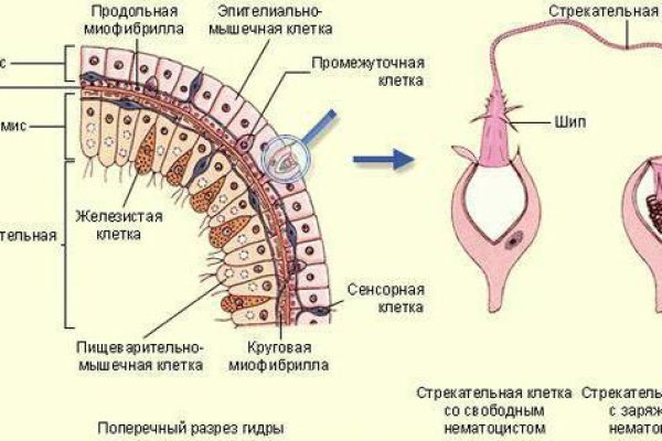 Кракен наркоторговля